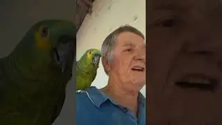 27 de dezembro de 2025