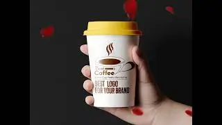 Professional Logo Design