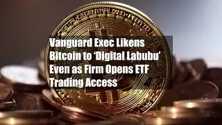 Vanguard Exec Likens Bitcoin to &lsquo;Digital Labubu&rsquo; Even as Firm Opens ETF Trading Access