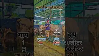 💯cow dairy farm in India,how to start dairy farm,biggest cow dairy farm in india,#farming #cow#farm