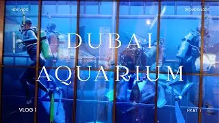 Dubai Mall Vlog | Dubai Aquarium | Dubai Aquarium Vlog #vlog #dubai #dubaiaquarium #bromosvlogs