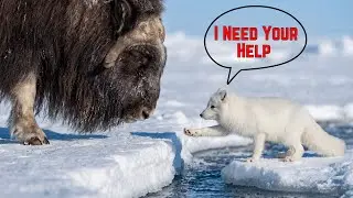 He Begged For Help... You Won't Believe What The Giant Did