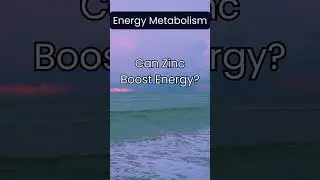 Can Zinc Boost Energy?