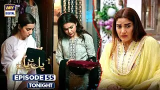 Pal Do Pal Episode 55 | Promo | Tonight | Junaid Jamshaid Niazi | Tuba Anwer | ARY Digital