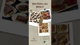 Choose Natural, Choose Sustainable: Palm Leaf Plates Like Bamboo