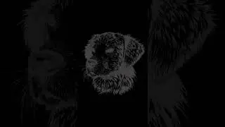 Single Dog Bark Sound Effect #shorts #dog #barking #dogbarking