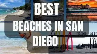 Top 8 Best Beaches in San Diego, California 2025