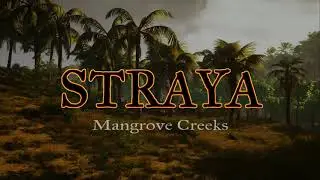 Straya Mangrove Creeks