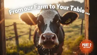 This Is Where Your Food Actually Comes From&hellip; 🐄 (Farm to Table Part 2)