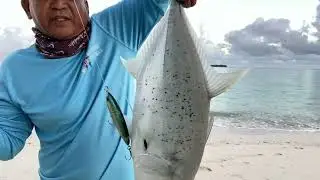 good fight //8lbs trevally using Maria loaded 43gms stick bait@Micro! (Saipan,USA🇺🇸)
