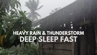 Village Rain ASMR ☔ Thunder Sleep Sounds | 3 Hours No Talking No Music