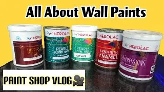 Types of Wall Paint | Types of Paints and their uses | Best Interior Wall Paint