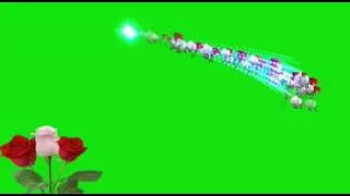 Rose flower Green Screen Video | Green Screen Videos