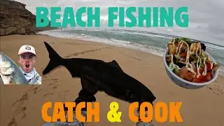 BEACH FISHING for BIG FISH! | Catch & Cook Australian Salmon at Locks Well | South Australia