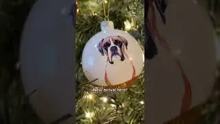 Don't miss out! grab new pet ornaments now!  #petproduct #petorama
