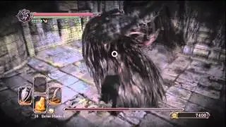 Dark Souls 2 - Giant King Boss Fight [HD] (Melee)