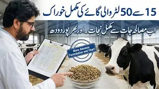 15 say 50 liter cow milk ka feed formula  II More advance feed formulation for cows II Dr. MUZZAMMIL
