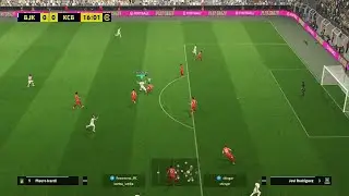 PESICA liga
