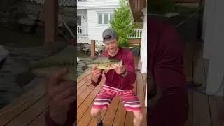 Dock Bass | Lake George, NY | June 2025 #fishing