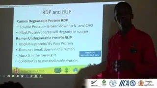 Small Ruminant Nutrition - Nutrient Breakdown