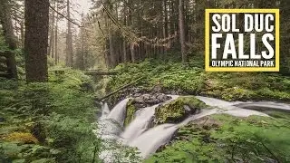 Sol Duc Falls - Olympic National Park - Travel Photography