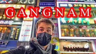 🇰🇷Night Tour of GANGNAM SEOUL (Living In Korea)