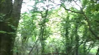 investigation 63 old farm ruin 2