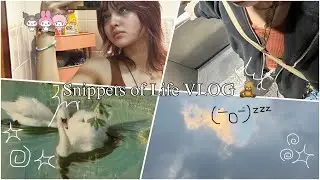 Snippets of Life 🧸short VLOG // food +daily