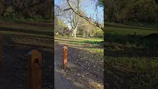 Malahide Castle #youtubeshorts #ireland #music #song