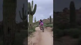 Mountain Biking Through the McDowell Sonoran Preserve, AZ - December 2025