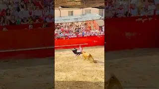 ‼️IMPRESI&Oacute;NATE QUIEBRO EN VALTIERRA (NAVARRA)‼️#viral #bull #shortvideo #toros #trending
