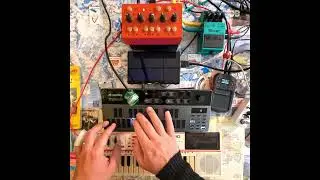 Donner B1, Eyesy and Casio PT82