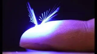 Scientists Create Incredible Light-Powered 'Fairy' Robot!
