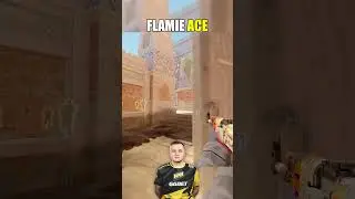 flamie ONE SPRAY ace