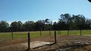Not A Day Goes By W/O Charles D. Hall Cattle Harass Obsession On Our Home, Feb 15, 2018