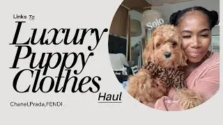 Luxury Dog Fashion Haul | Meet Solo, the Best-Dressed Cockapoo!
