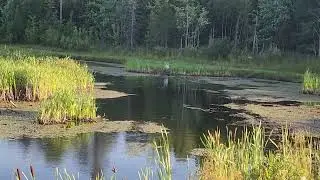 Koska water blind angle entry summer 2025