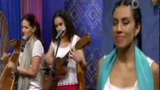 CAÑA DULCE Y CAÑA BRAVA 