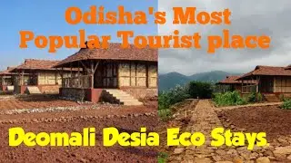 DEOMALI - The Highest Peak of Odisha Vlog - Part-1#DeomaliDesiaEcoStays #HighestPeakofOdisha 