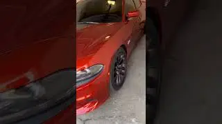 Cold starting the Mustang killer😈
