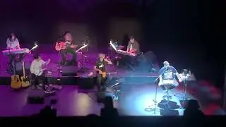 The Magnetic Fields - 