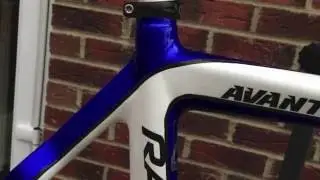 Raleigh Avanti Race Carbon Road Bike Frame