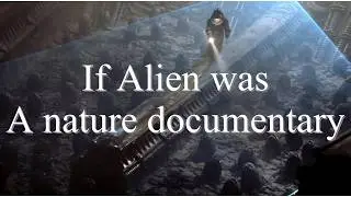 Alien the nature documentary spoof #movie #alienfranchise #spoofmovie #justforfun #alien1979