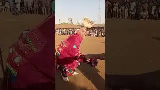 2025 ABO FESTIVAL