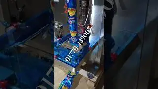 Automatic Chips Packaging Machine অটোমেটিক চিপস প্যাকেজিং মেশিন#Food #packagingsolution #machine #bd