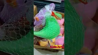 Squeeze the fun, brighten the day! #BabyToys #SafeToys #ColorfulFun #ParentingMadeEasy #PigeonWorld