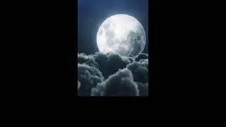 🌾궁시렁 은쭈🌾님의 라이브 방송