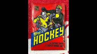 1981-82 BEAT TO HE$$ TOPPS WAX HOCKEY PACK + 2023-24 Skybox EX 2000!