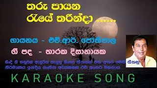 Tharu payana reye tharinda   H R  Jpthipala karaoke song