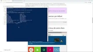 How to setup WSL2 and install Docker Desktop on Windows 10